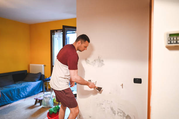 Best Office Mold Removal Services  in Falling Waters, WV