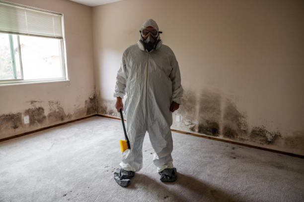 Best Residential Mold Removal  in Falling Waters, WV